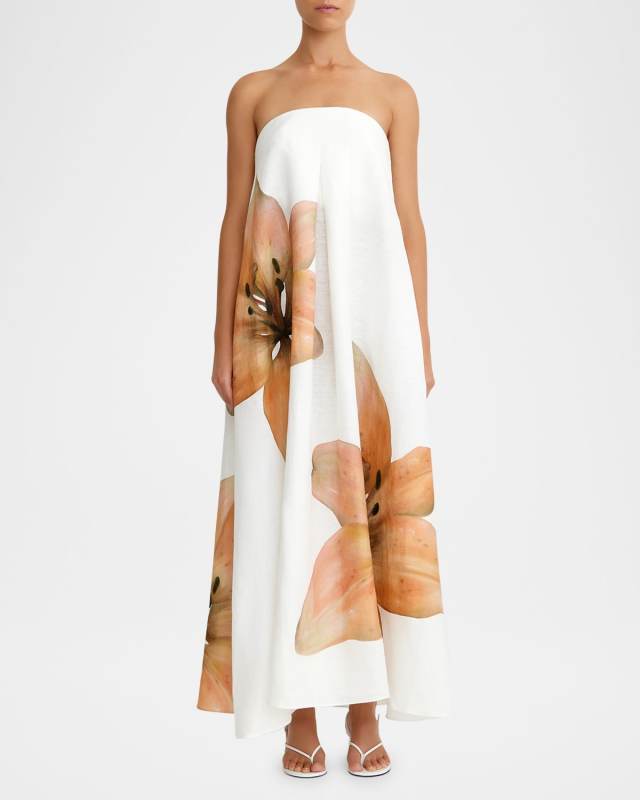 Parisa Flower-Print Strapless Linen Maxi Dress